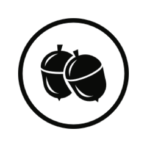 ballsy-logo